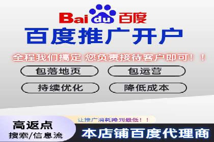 某某sem广告公司成功案例：如何通过SEM优化提高电商销售额